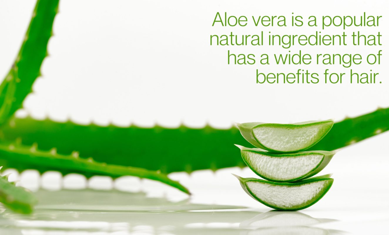 Aloe Vera benefits for curly, way and coily hair